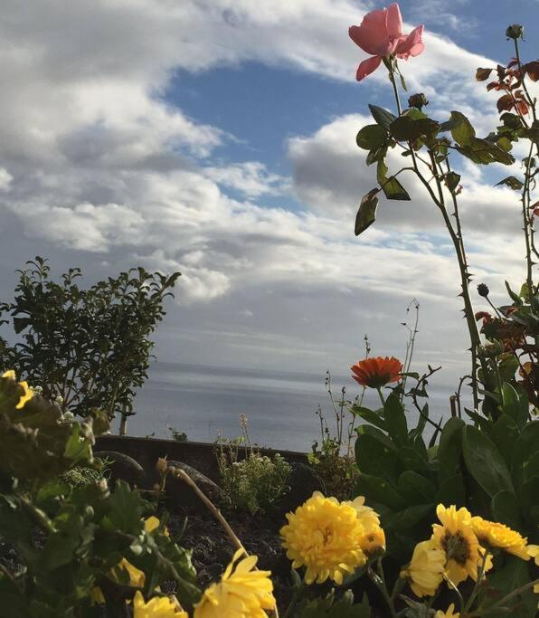 Sunflower Guest House - Madalena - Pico Sao Caetano  Buitenkant foto