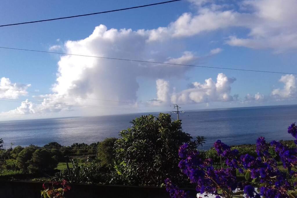 Sunflower Guest House - Madalena - Pico Sao Caetano  Buitenkant foto