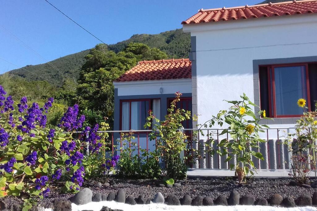 Sunflower Guest House - Madalena - Pico Sao Caetano  Buitenkant foto