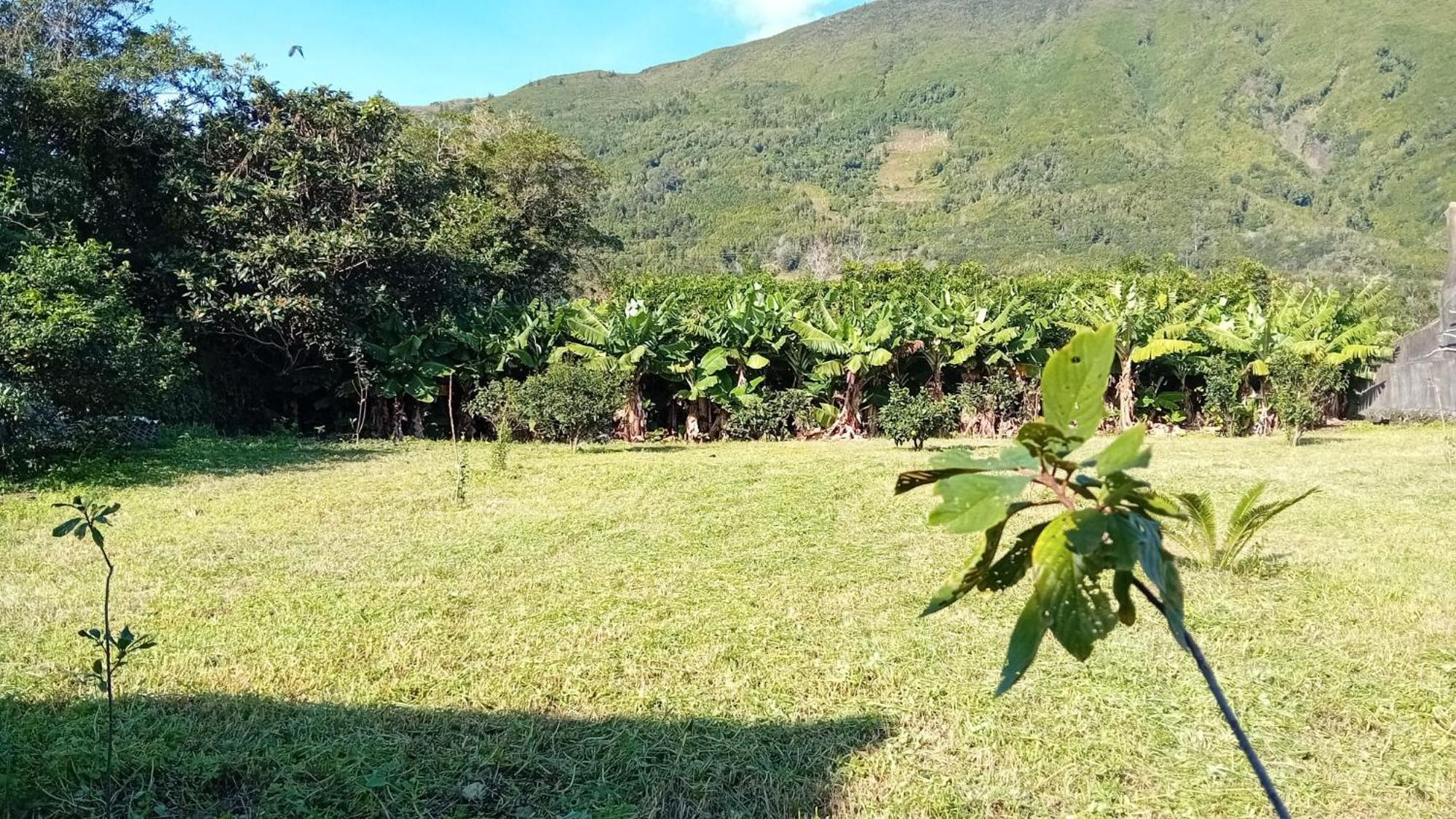 Sunflower Guest House - Madalena - Pico Sao Caetano  Buitenkant foto